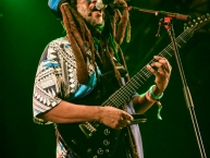 30th_Summerjam_Festival_2015_Day1_by_RUNE_FLEITER_54.jpg