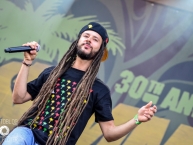 30th_Summerjam_Festival_2015_Day3_by_RUNE_FLEITER_44.jpg