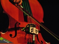 Fest van Cleef 2011
