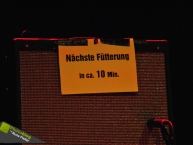 Fest van Cleef 2011
