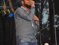 Reggaejam Festival 2011