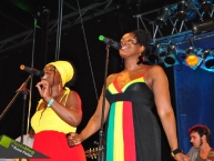 Reggaejam Festival 2011
