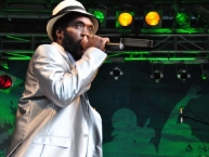 Reggaejam Festival 2011