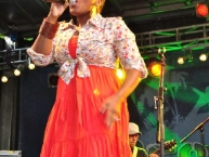 Reggaejam Festival 2011