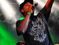 Reggaejam 2012