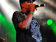 Reggaejam 2012