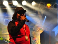 Reggaejam 2012