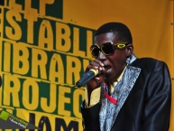 Reggaejam 2012