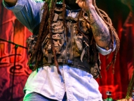 Reggae_Jam_2014_Day3_by_RUNE_FLEITER_275