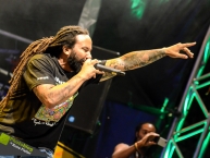Reggae_Jam_2014_Day3_by_RUNE_FLEITER_330