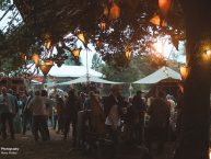 VibesMuseum_ReggaeJamFestival_2025_by_RUNE_FLEITER_004