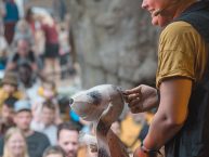 ReggaeJamFestival_Bersenbrueck_2022_by_RUNE_FLEITER_165