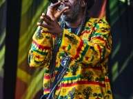 Ruhr_Reggae_Summer_Dortmund_2015_by_RUNE_FLEITER_095.jpg