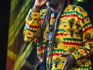 Ruhr_Reggae_Summer_Dortmund_2015_by_RUNE_FLEITER_096.jpg