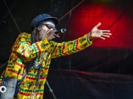 Ruhr_Reggae_Summer_Dortmund_2015_by_RUNE_FLEITER_097.jpg