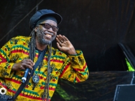 Ruhr_Reggae_Summer_Dortmund_2015_by_RUNE_FLEITER_098.jpg