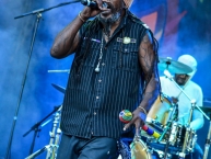 Ruhr_Reggae_Summer_Dortmund_2015_by_RUNE_FLEITER_124.jpg