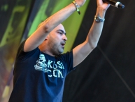 Ruhr_Reggae_Summer_Dortmund_2015_by_RUNE_FLEITER_133.jpg