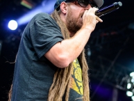 Ruhr_Reggae_Summer_2014_by_RUNE_FLEITER_043