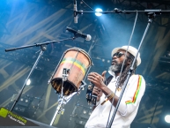 Ruhr_Reggae_Summer_2014_by_RUNE_FLEITER_139