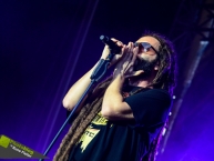 Ruhr_Reggae_Summer_2014_by_RUNE_FLEITER_246