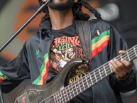 RuhrReggaeSummer_MadR_2017_by_RUNE_FLEITER_051