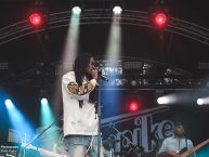 Day2_TurnpikeReggaeFestival_2025_by_RUNE_FLEITER_032