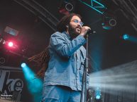 Day2_TurnpikeReggaeFestival_2025_by_RUNE_FLEITER_064