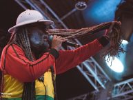 TurnpikeReggaeFestival_2026_by_RUNE_FLEITER_111