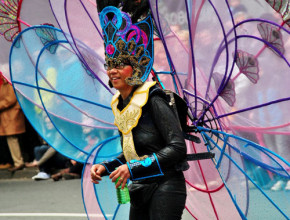 Carnival der Kulturen Bielefeld 2013