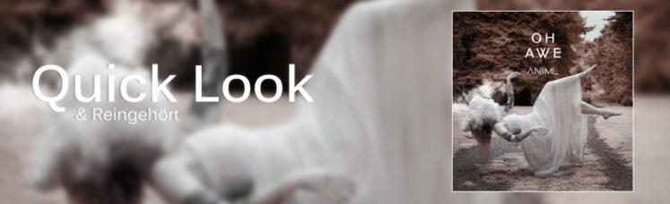 Quick Look: ANiiML - Oh Awe
