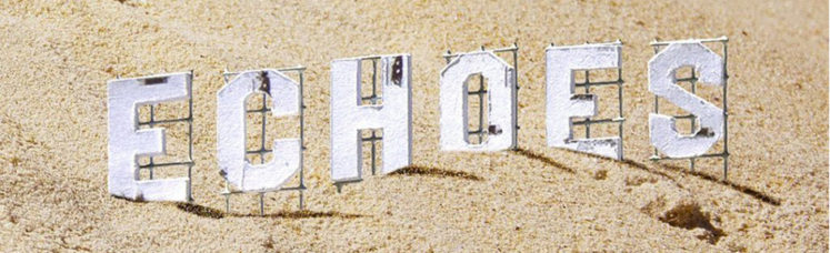 Musik zum Wochenstart: Furious Monkey House – Echoes