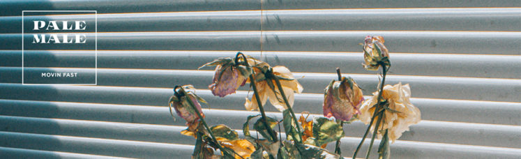 Musik zum Wochenstart: Pale Male - Movin fast ft. Soia