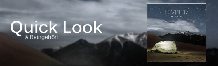 Quick Look: An Early Bird - Diviner