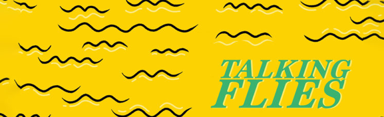 Musik zum Wochenstart: Jolphin - Talking Flies